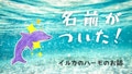 next-article-image