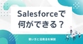 prev-article-image