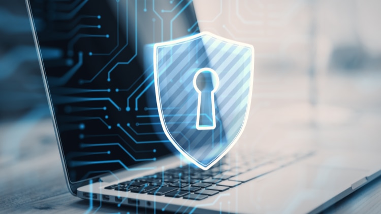 TRUST DELETE Biz  for VAIO®PC