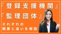 prev-article-image