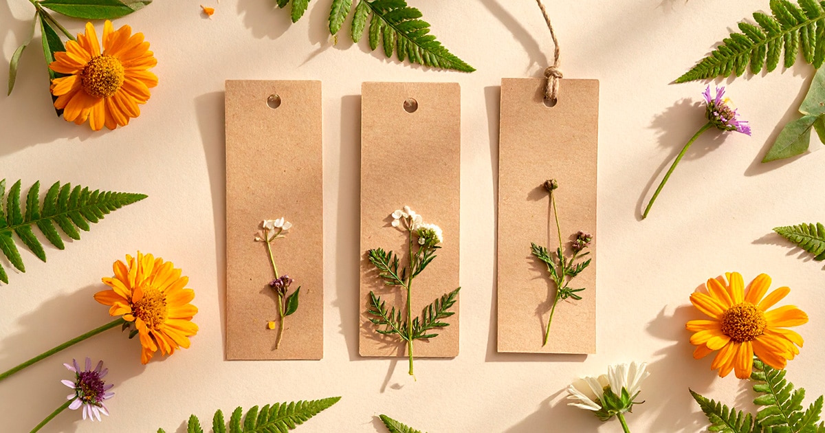 ブログ|環境にやさしい選択で企業イメージもUP!