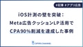 prev-article-image