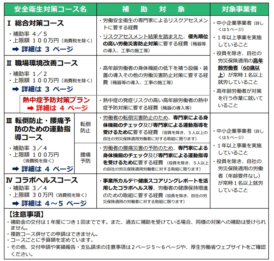 エイジフレンドリー補助金_概要
