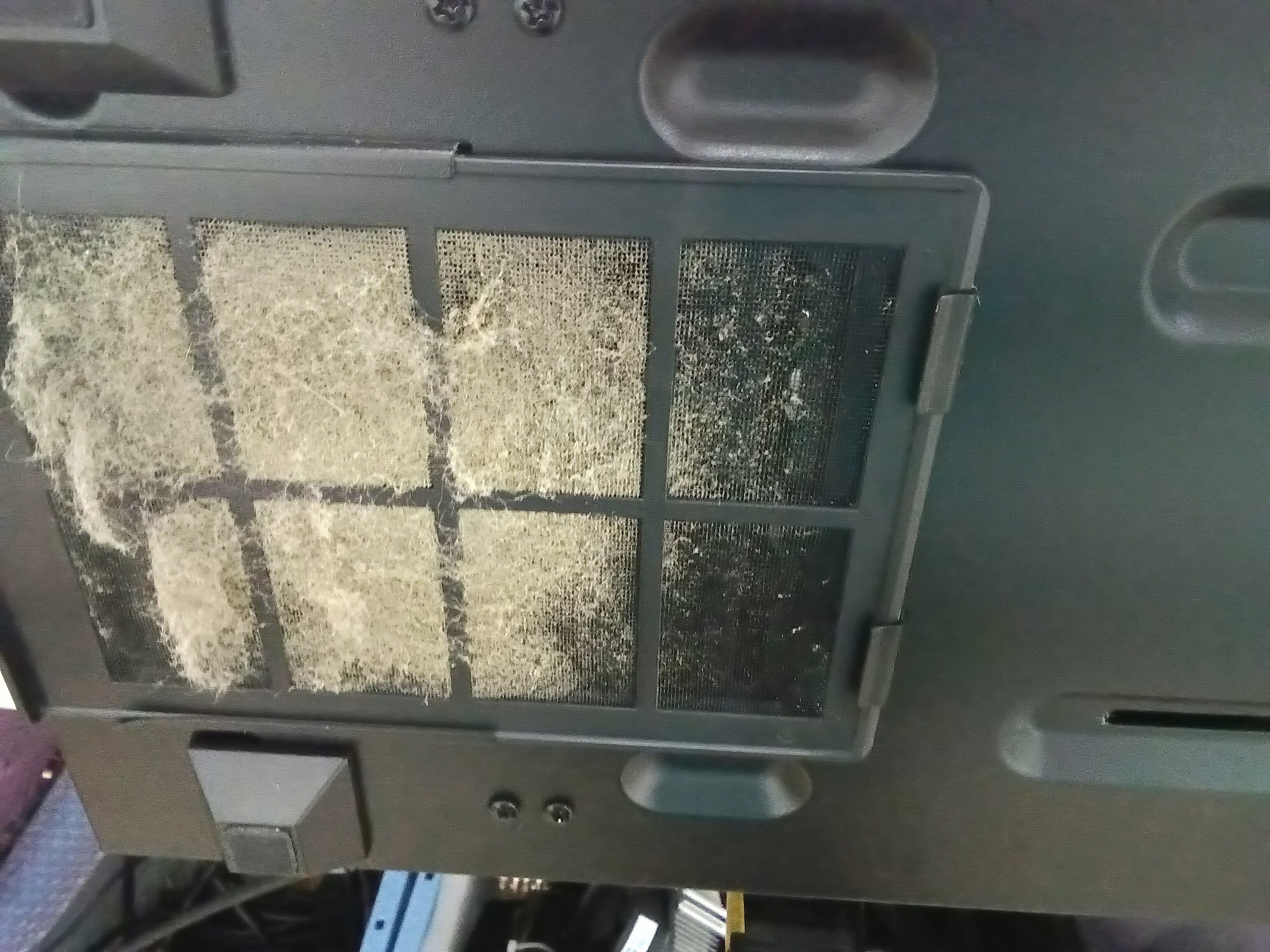 クリーニング前、底面ダストフィルター