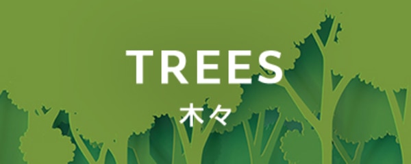木々の商品一覧へのバナー