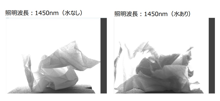 SWIRカメラティッシュ撮像例