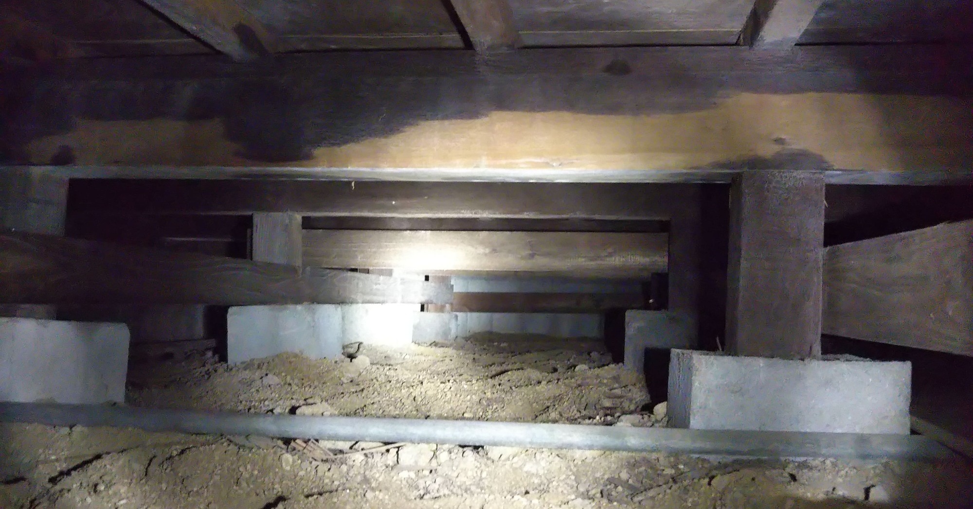 シロアリ被害のリスクと防蟻保証の重要性