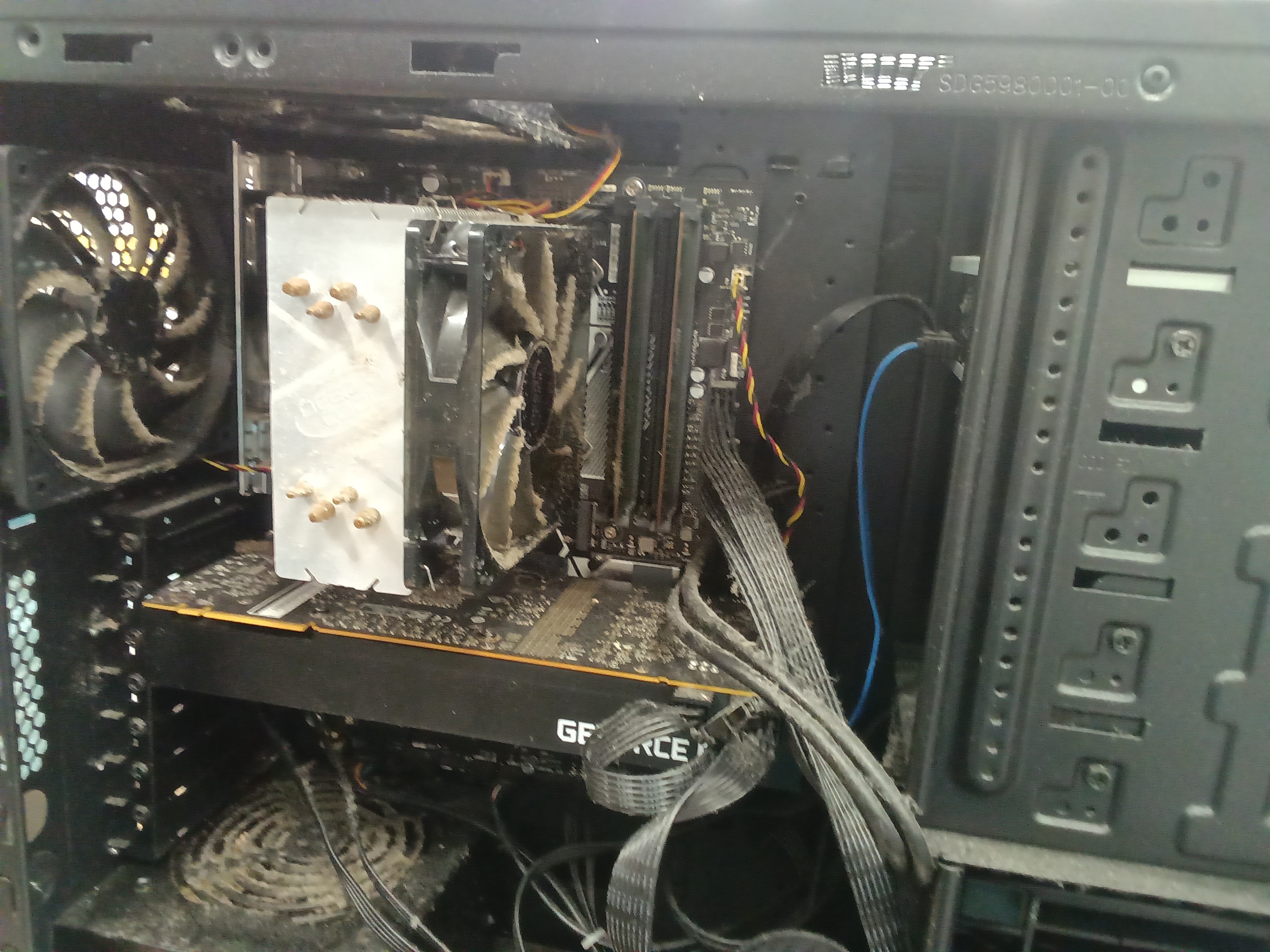 クリーニング前