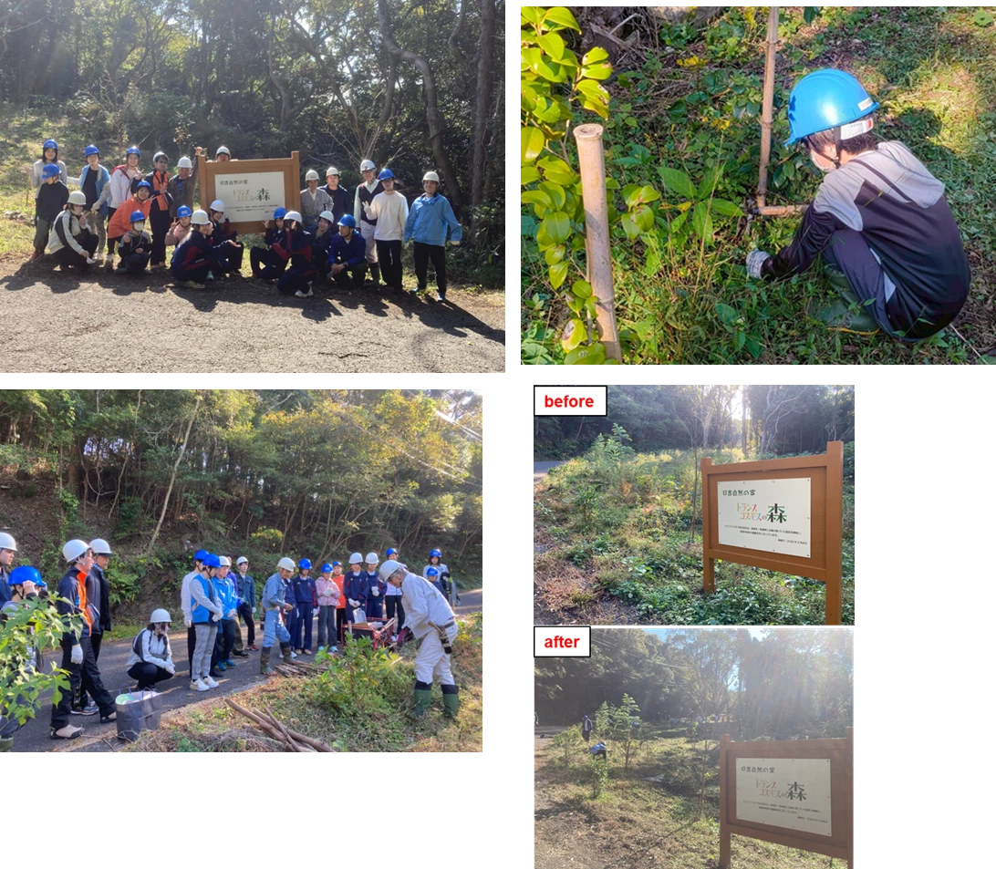 森林ボランティアの方の指導を受け、作業を行っている様子
