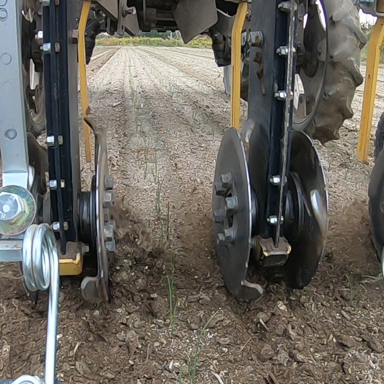 回転刃の稼働の様子