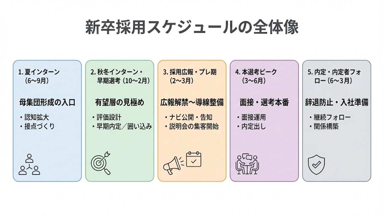新卒採用スケジュールの全体像（夏インターン〜内定者フォローまでの月別フロー図）