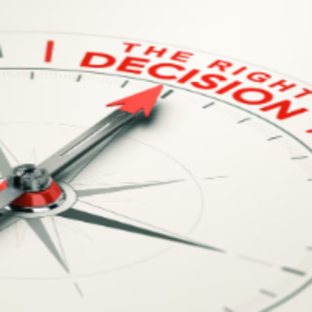 Belt Cleaner Features