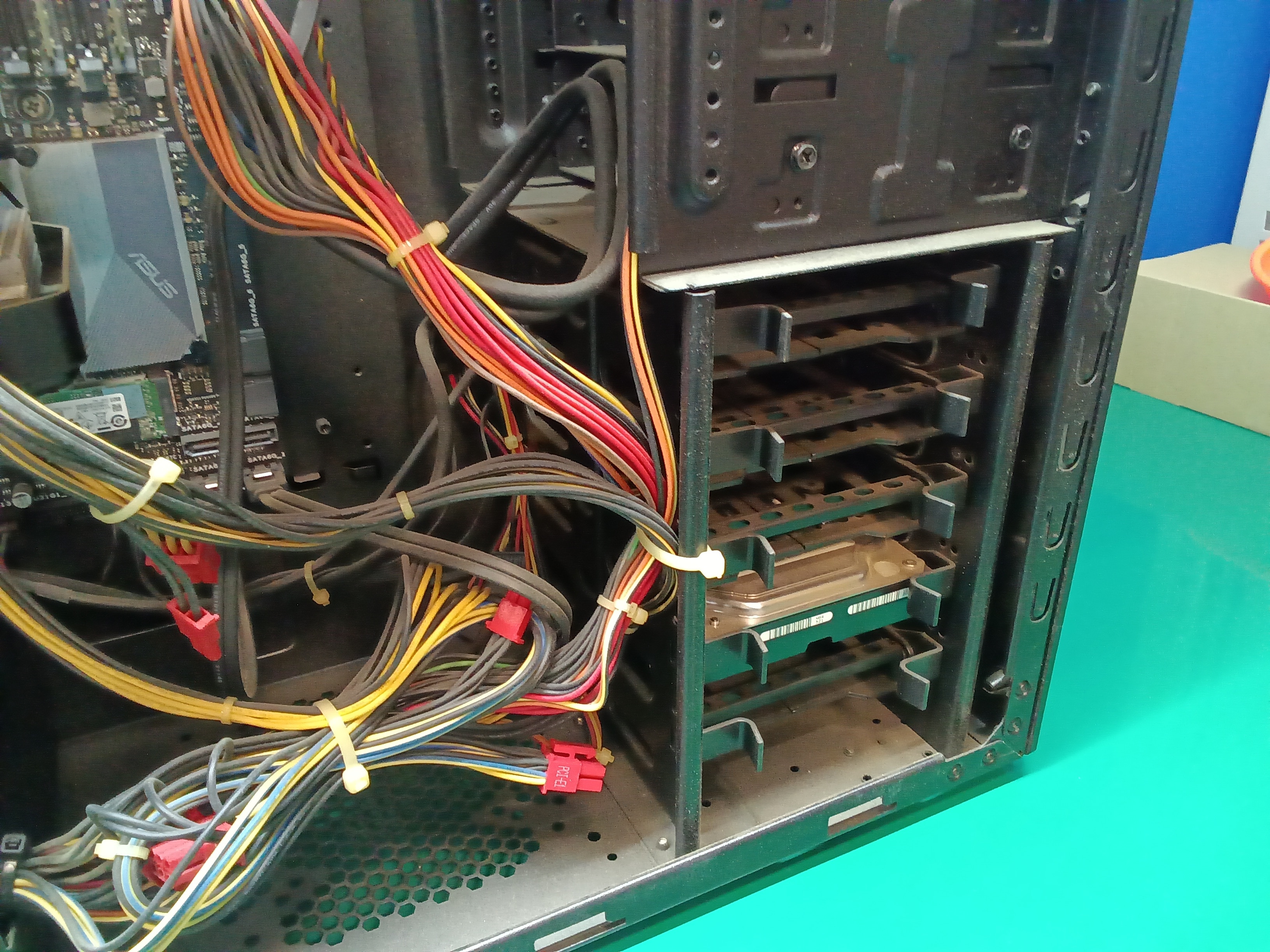 ケース底面付近、白くホコリが堆積しています。