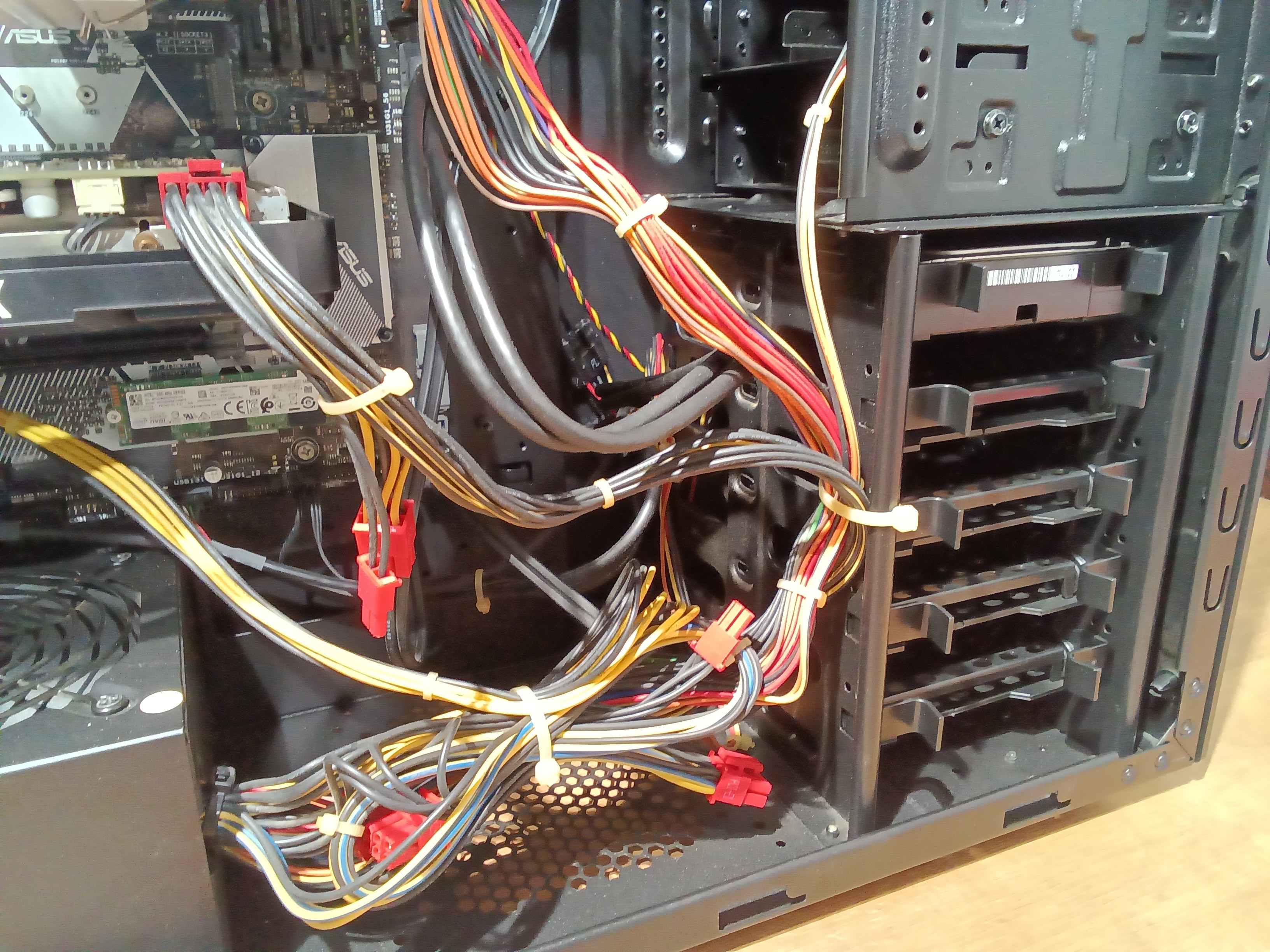 ケース底面付近