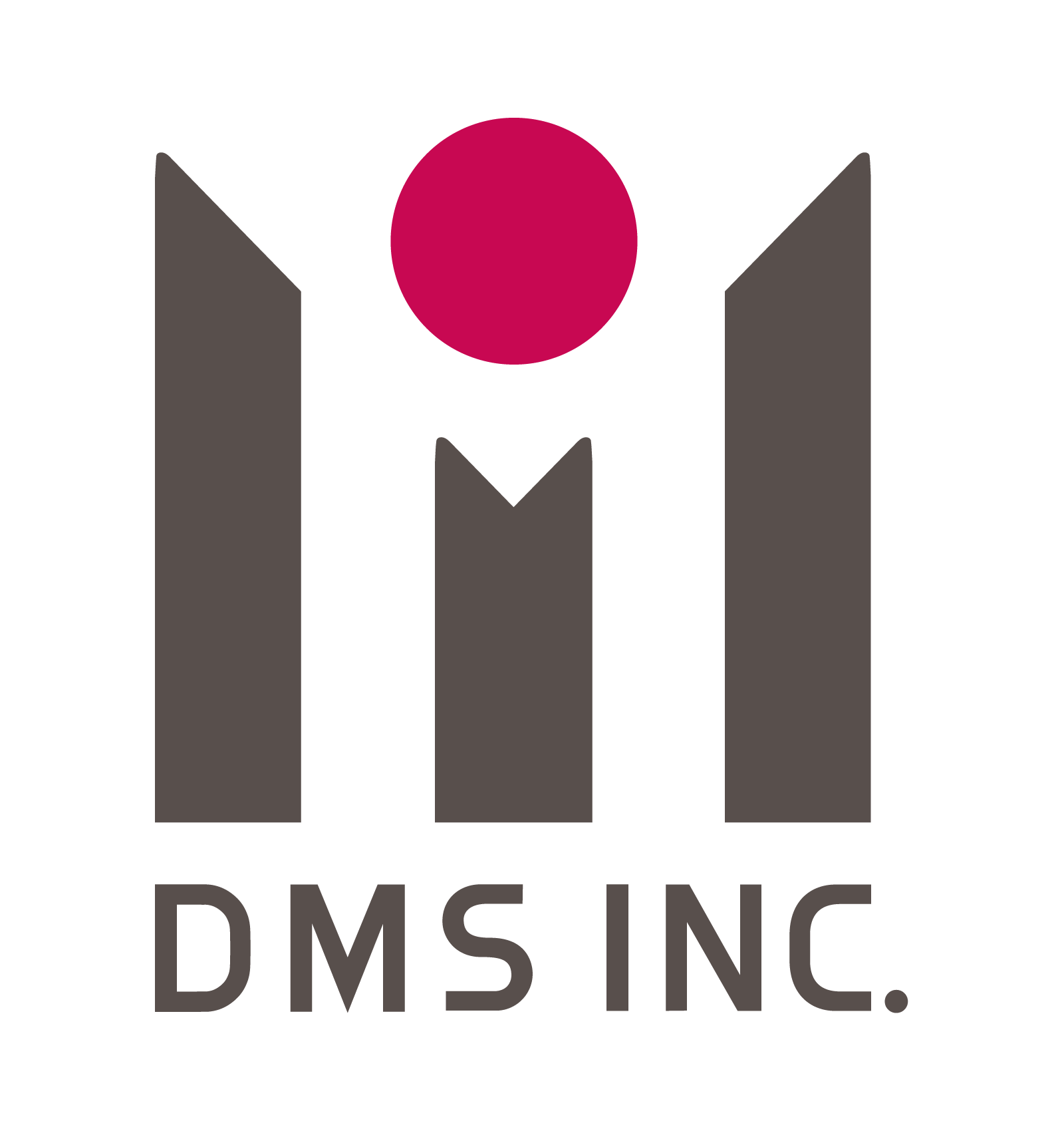 株式会社ディーエムエス