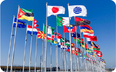 株式会社アテナのナショナルフラッグサービスの実績参考画像11