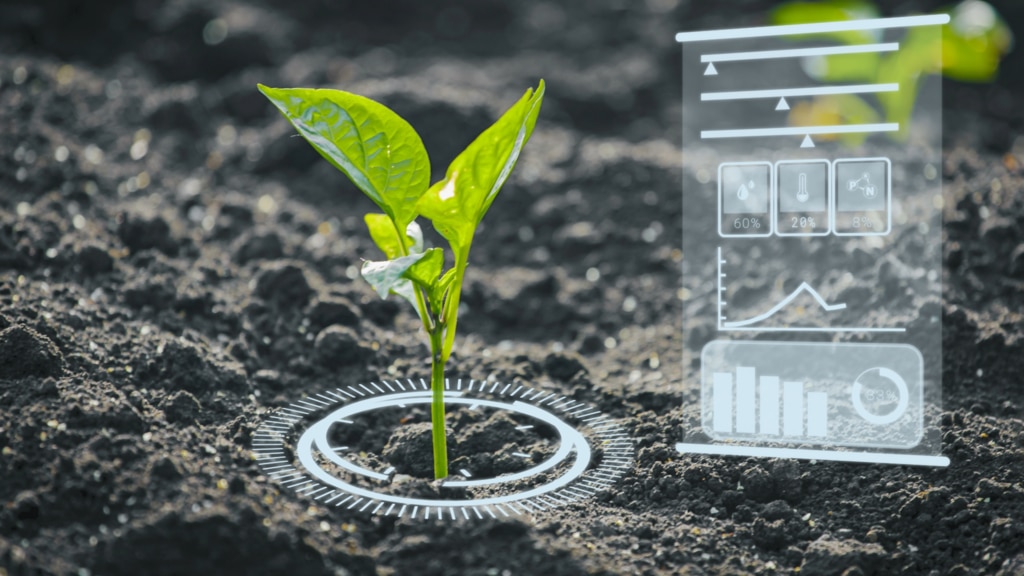 AI Sorting Techniques