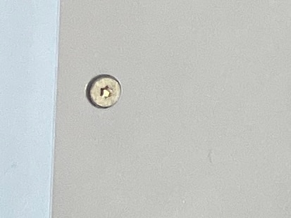 裏蓋のトルクスネジ