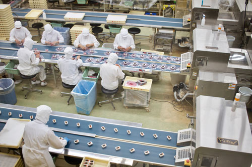 食品工場の作業風景画像