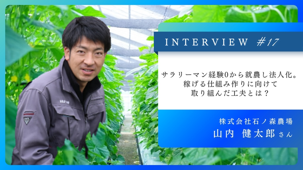 経験0から法人化！きゅうり農家へインタビュー | スター農家クラウド
