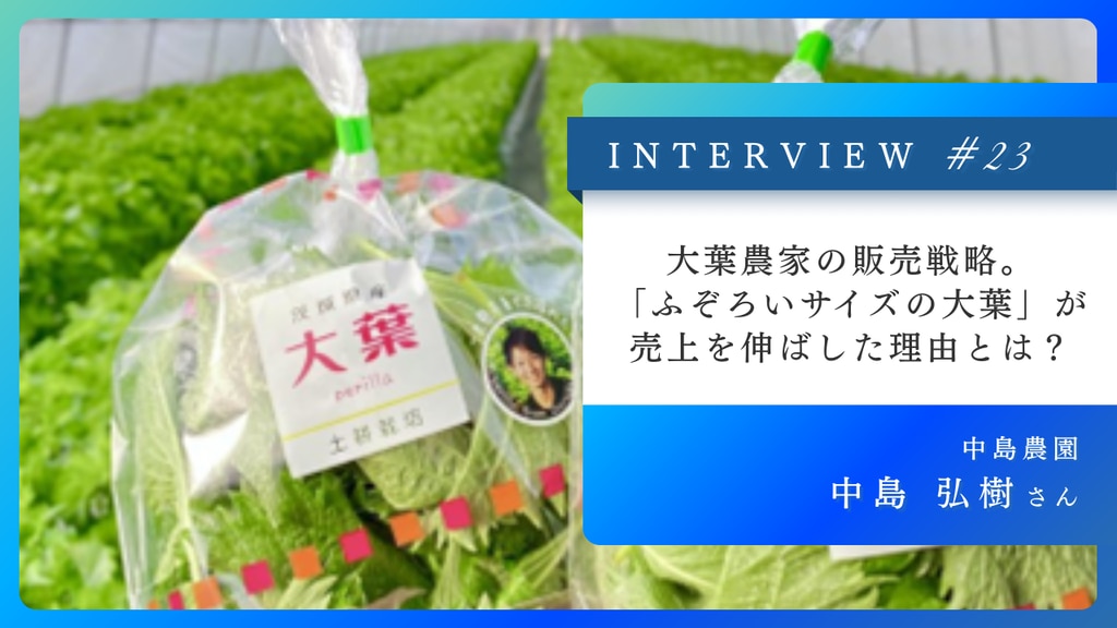 大葉農家の販売戦略！成長を続ける大葉農家へインタビュー | スター