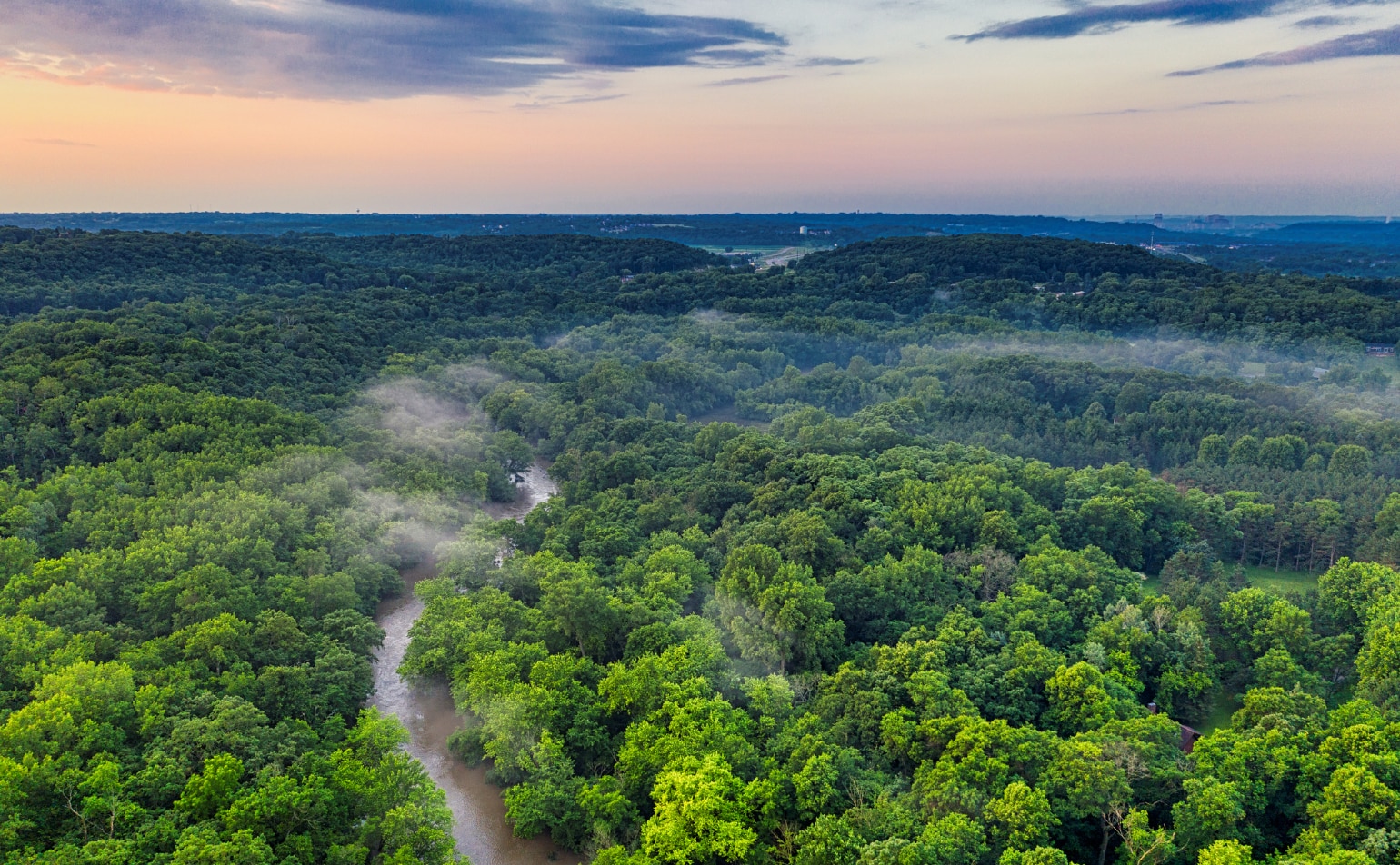 TNFD開示コンサルティング