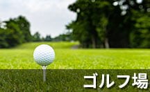 ex_golf