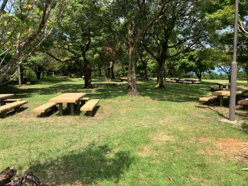 島原市　トワイレ