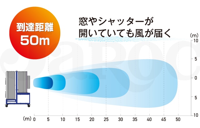 涼王（Coolkingswing）