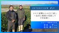 next-article-image
