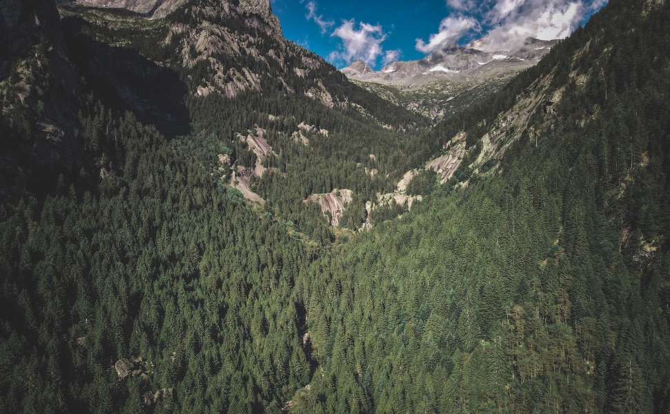 客観性・説得力の高いエビデンス