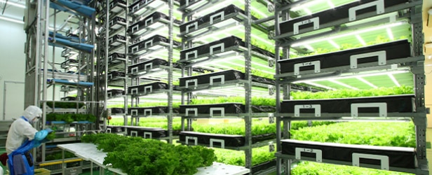 new biz -theme02_sub_03