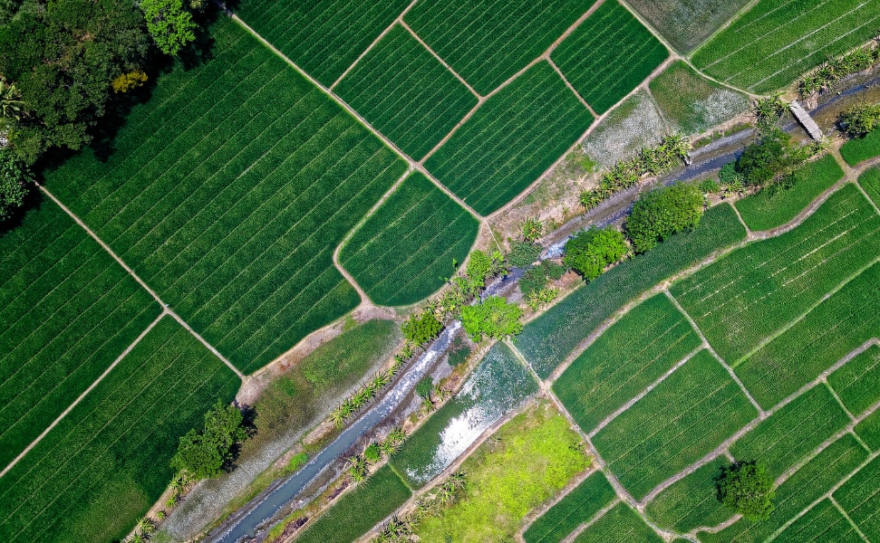 目標の高さと実現性を両立