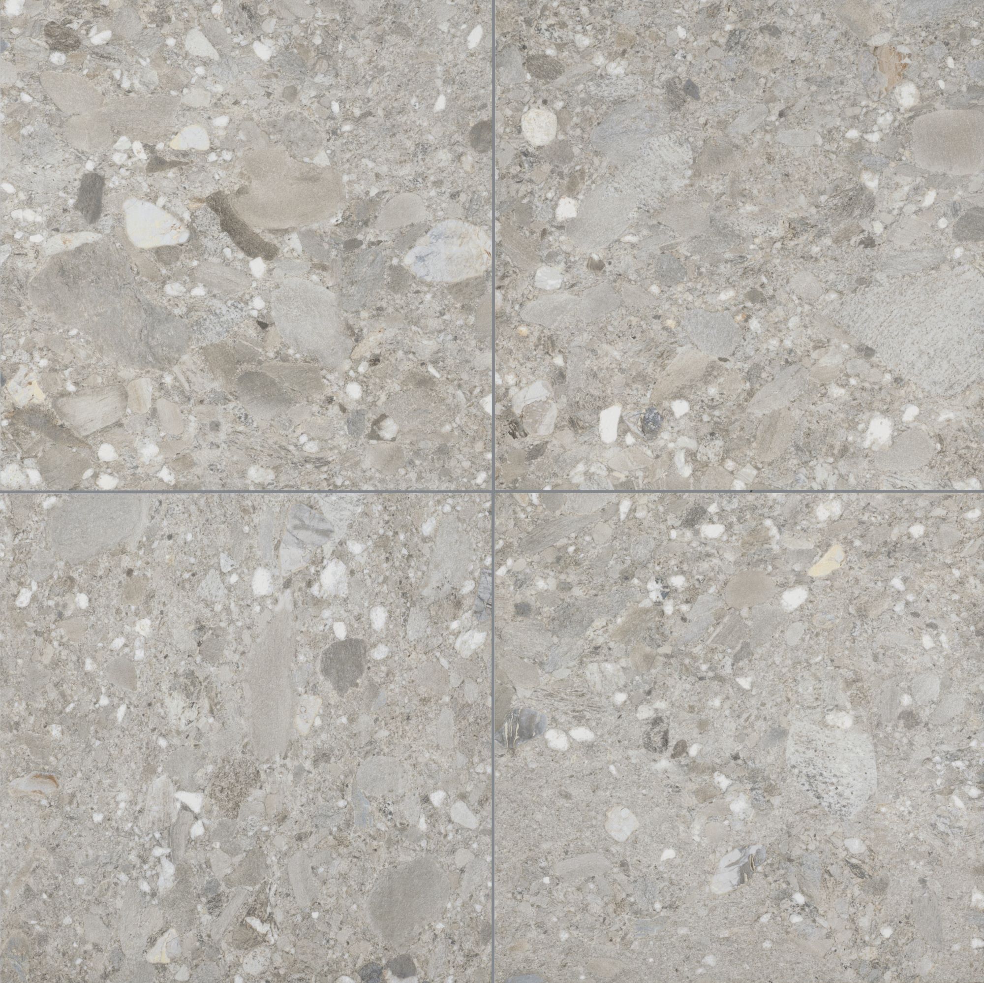 チェッポデグレ NX