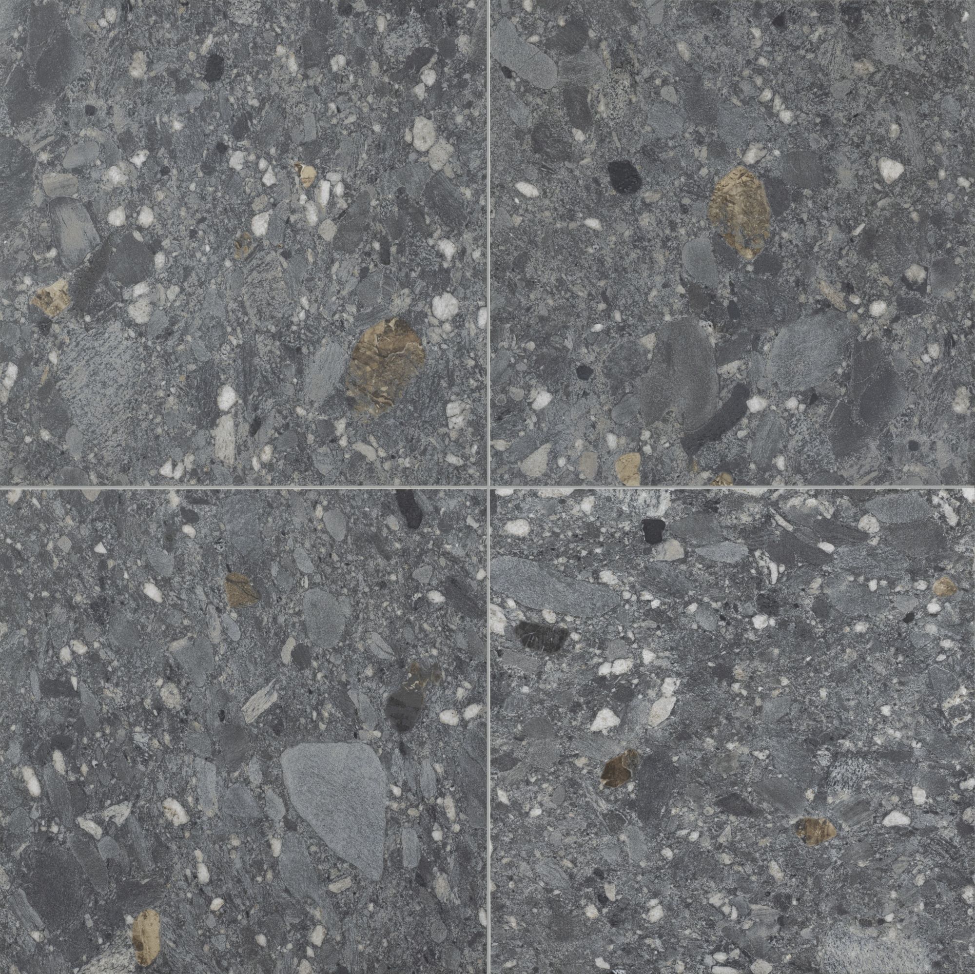 チェッポデグレ NX