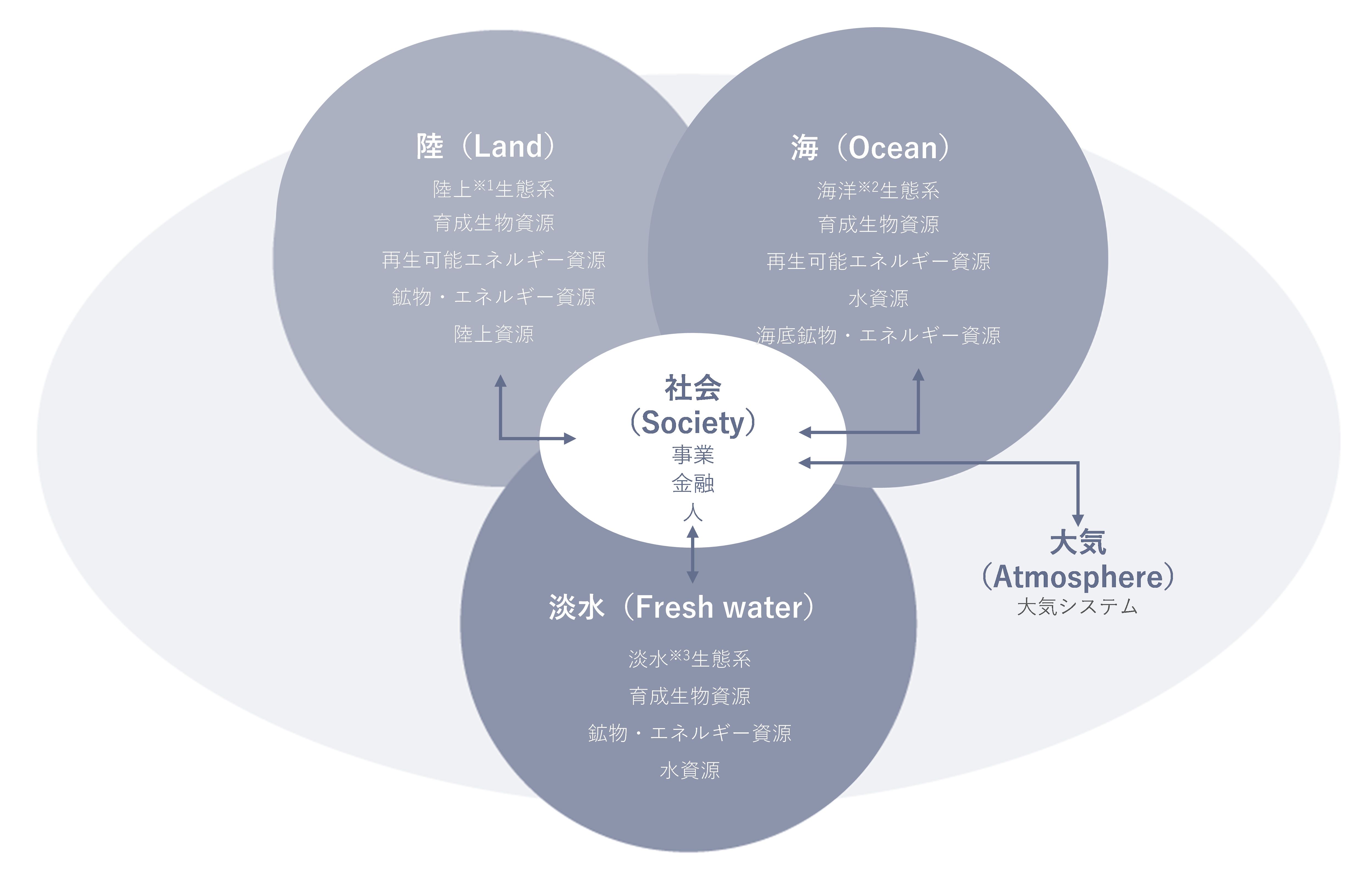 社会は、陸、海、淡水、大気の領域における環境資産に依存している