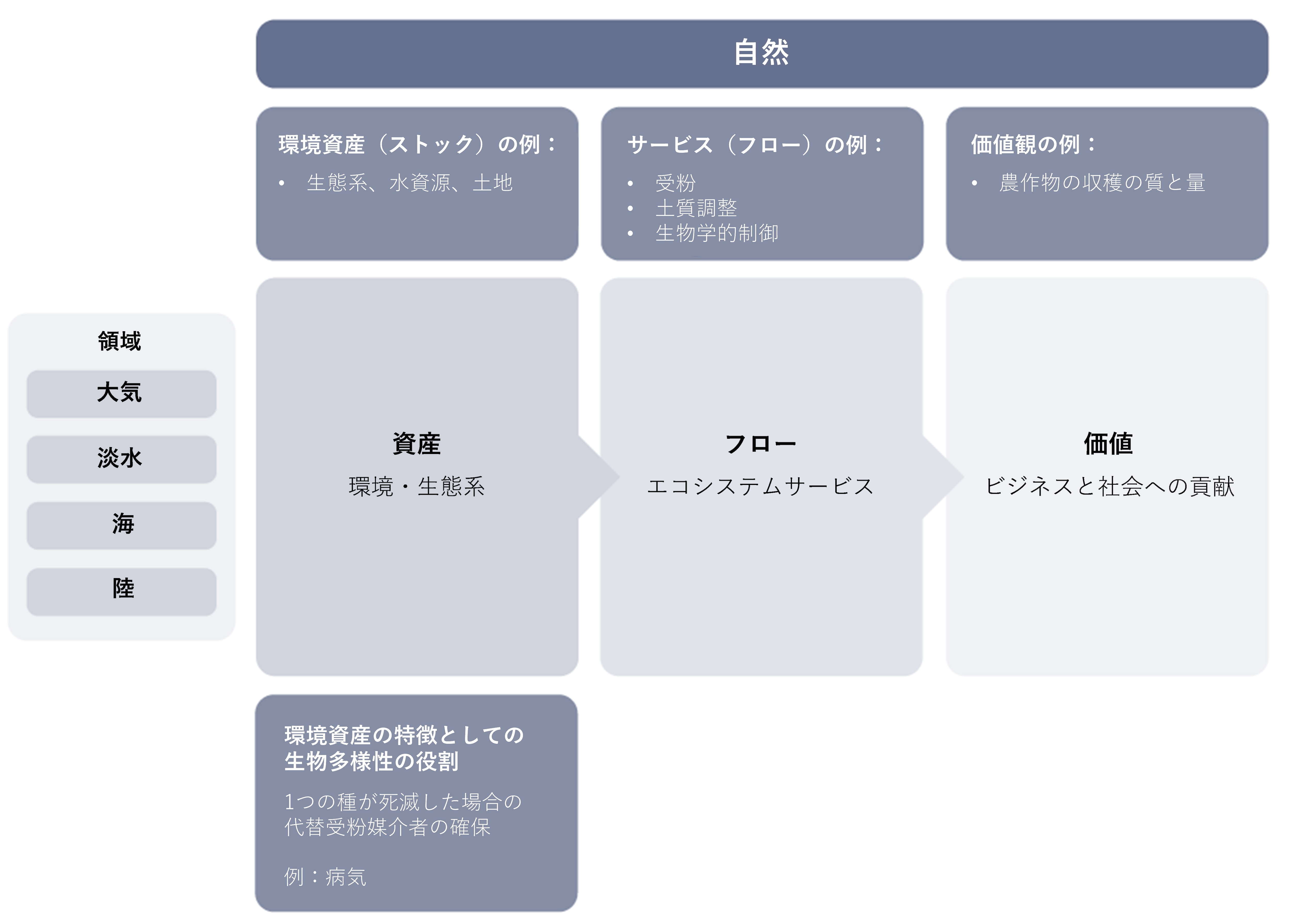 資産（環境・生態系）→フロー（エコシステムサービス）→価値（ビジネスと社会への貢献）