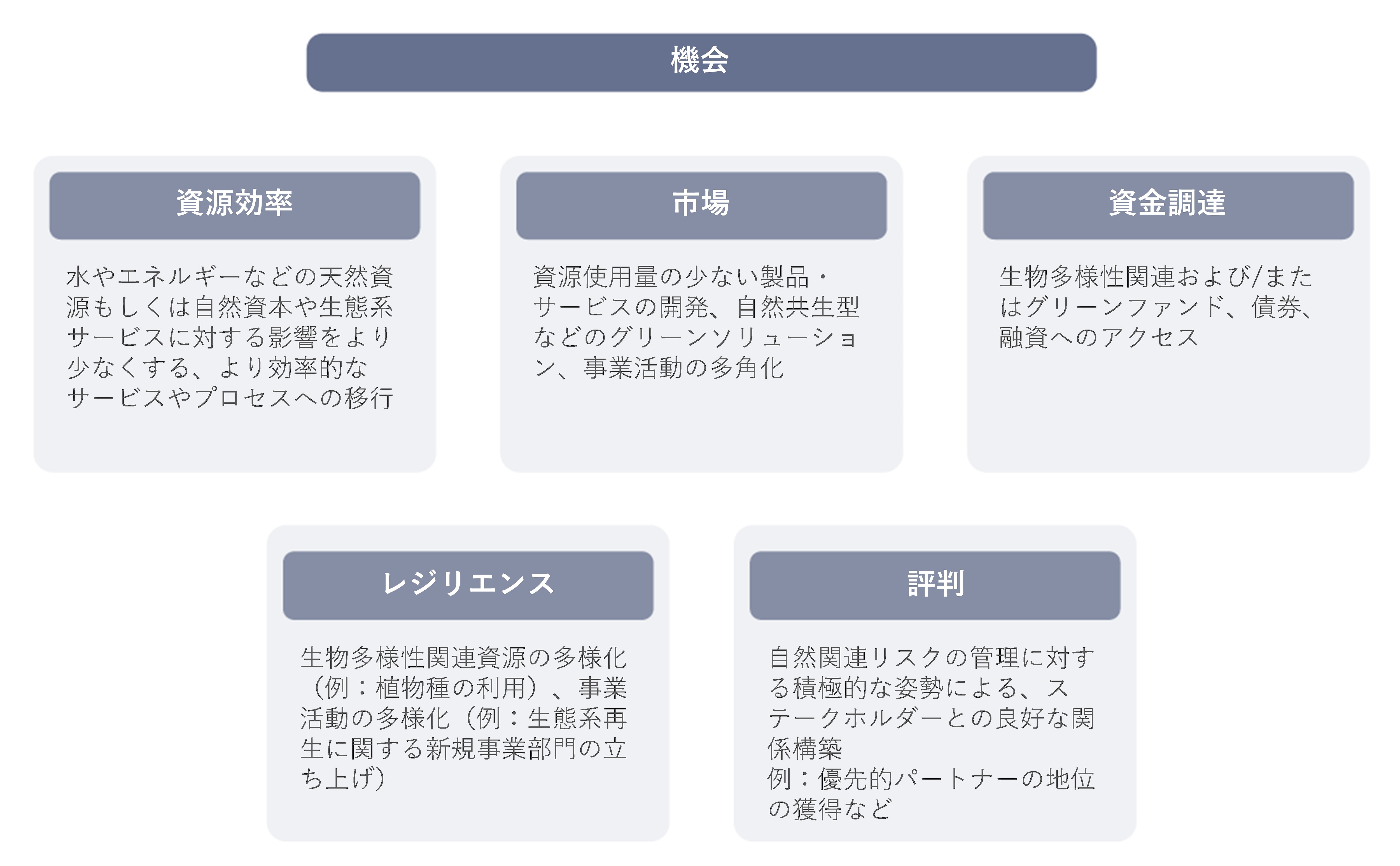 自然関連の機会としては、資源効率、市場、資金調達、レジリエンス、評判が挙げられる
