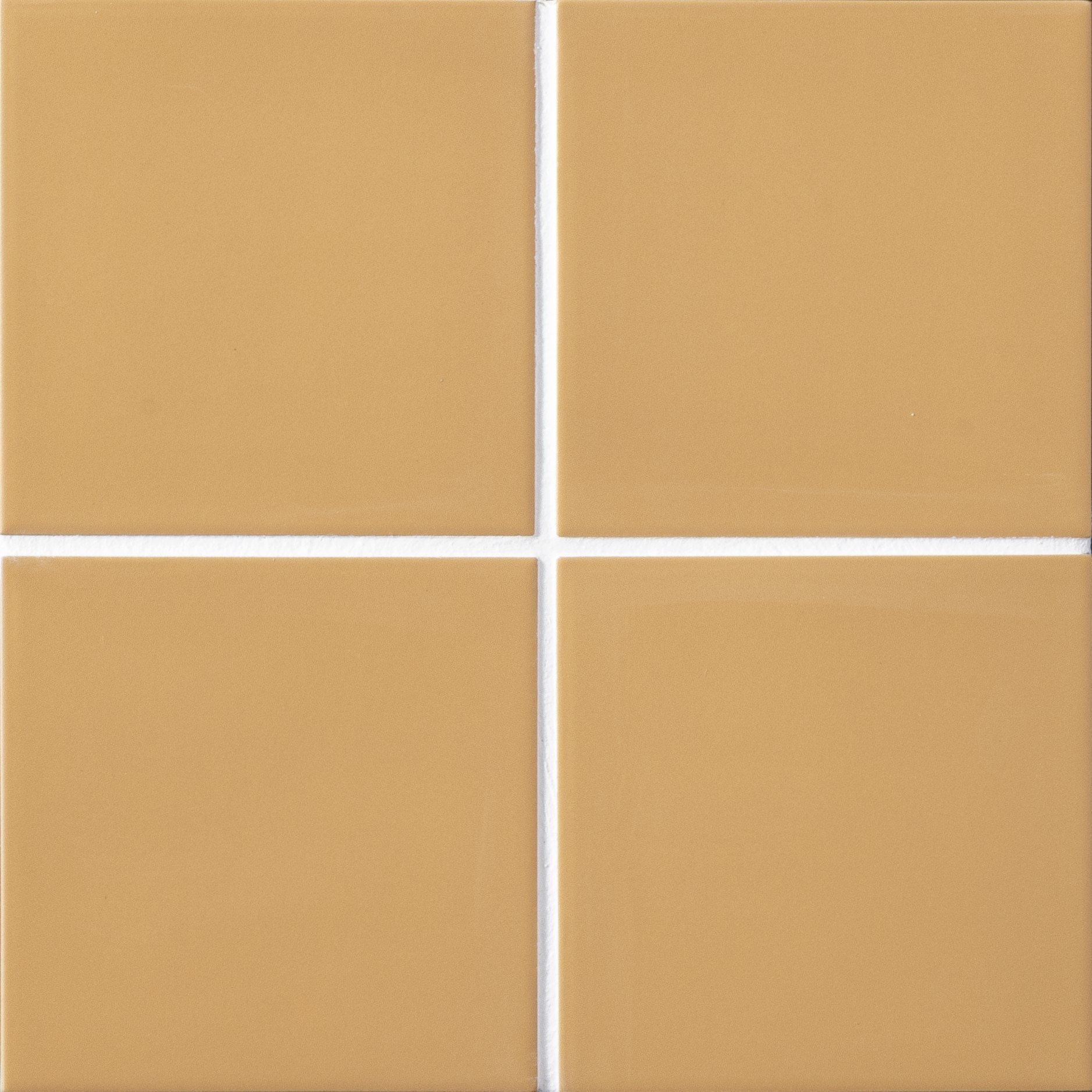 リベルタコロレ