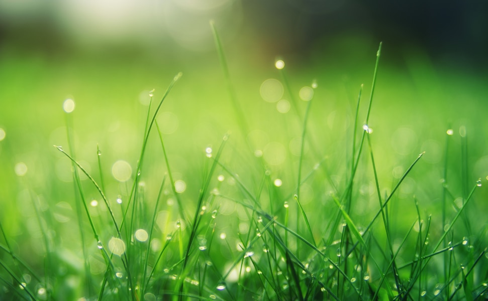 ごみ処理場での発電から 証書を安定＆大ロットで供給