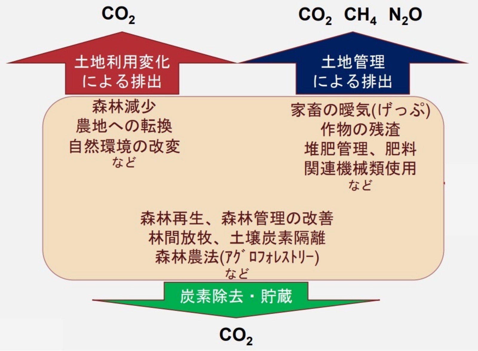 森林減少や家畜のげっぷなどによってGHGが排出される一方、森林再生や林間放牧などによってGHGを除去・貯蔵できる