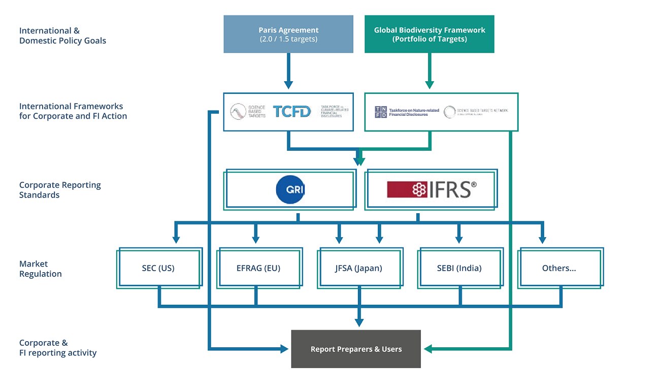 TNFD、TCFD、IFRS、GRI、SBTの関係を示した図