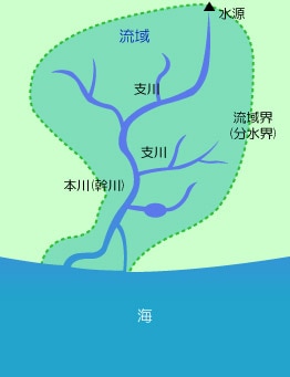 流域には、本川や支川、水源などが含まれている
