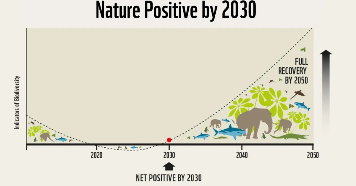 Nature Positve by 30 NET POSITIVE BY 2030 FULL RECOVERY BY 2050