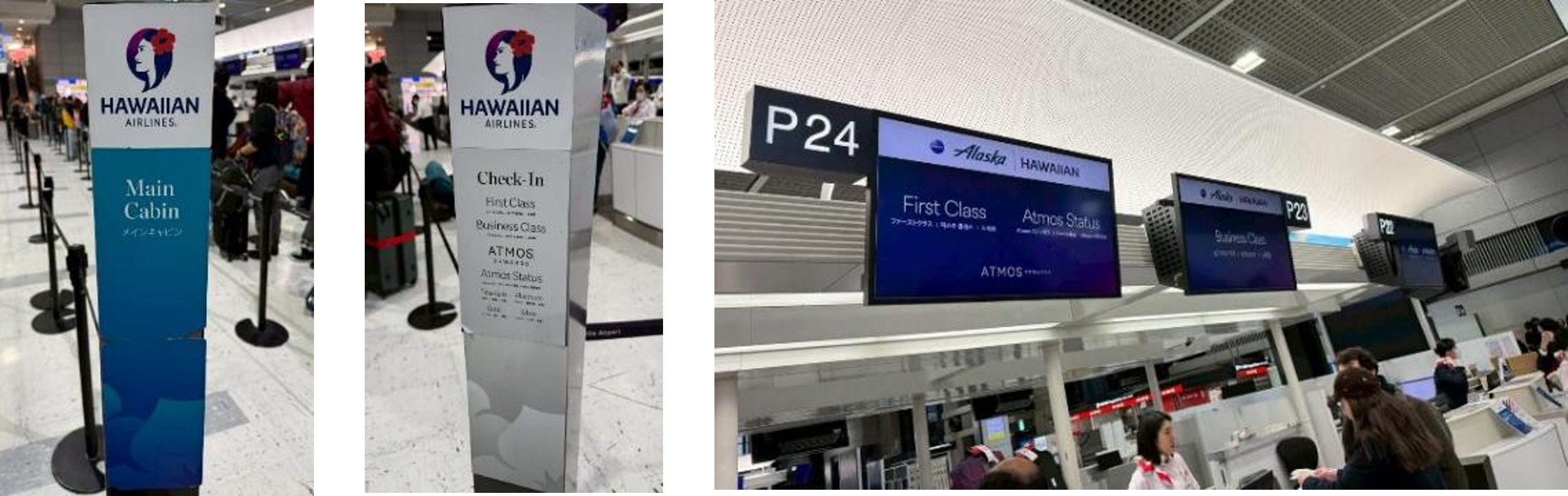 2025年度_アラスカ航空×ハイアット_10