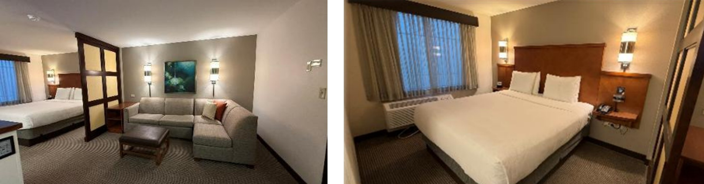 2025年度_アラスカ航空×ハイアット_53