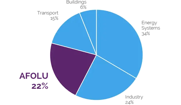 FLAGセクター由来のGHG排出量におけるAFOLUの割合を示すグラフ。AFOLUは22%を占めている