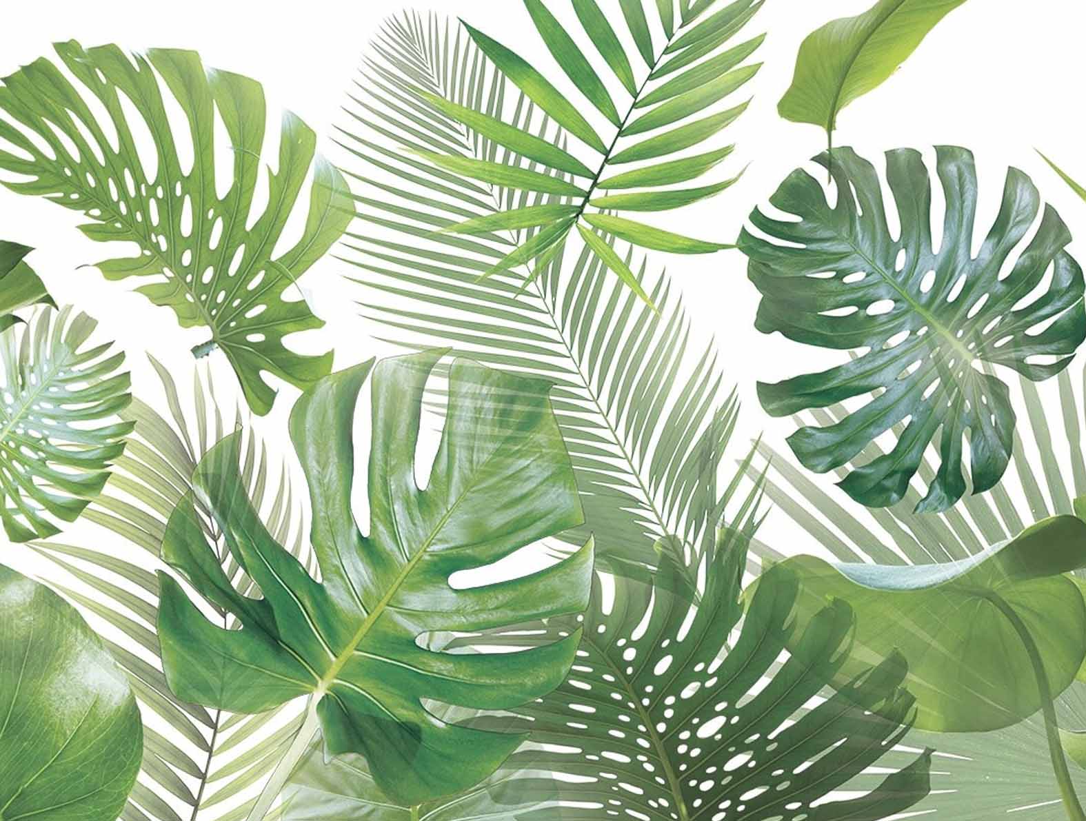 大きくてリアルな植物の柄の拡大図