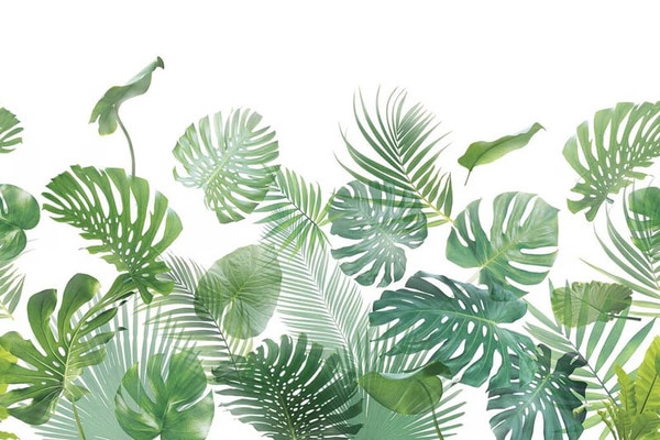 リアルな植物の柄