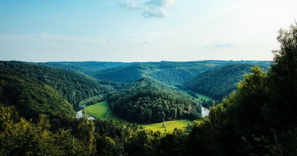 SBT申請時にはSBTi-FLAG目標の設定状況を回答する必要がある